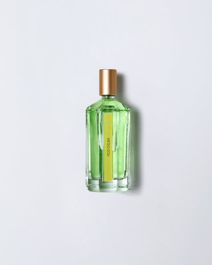PARFUM D’AMBIANCE SPRAY FICO D’ELBA 100ML