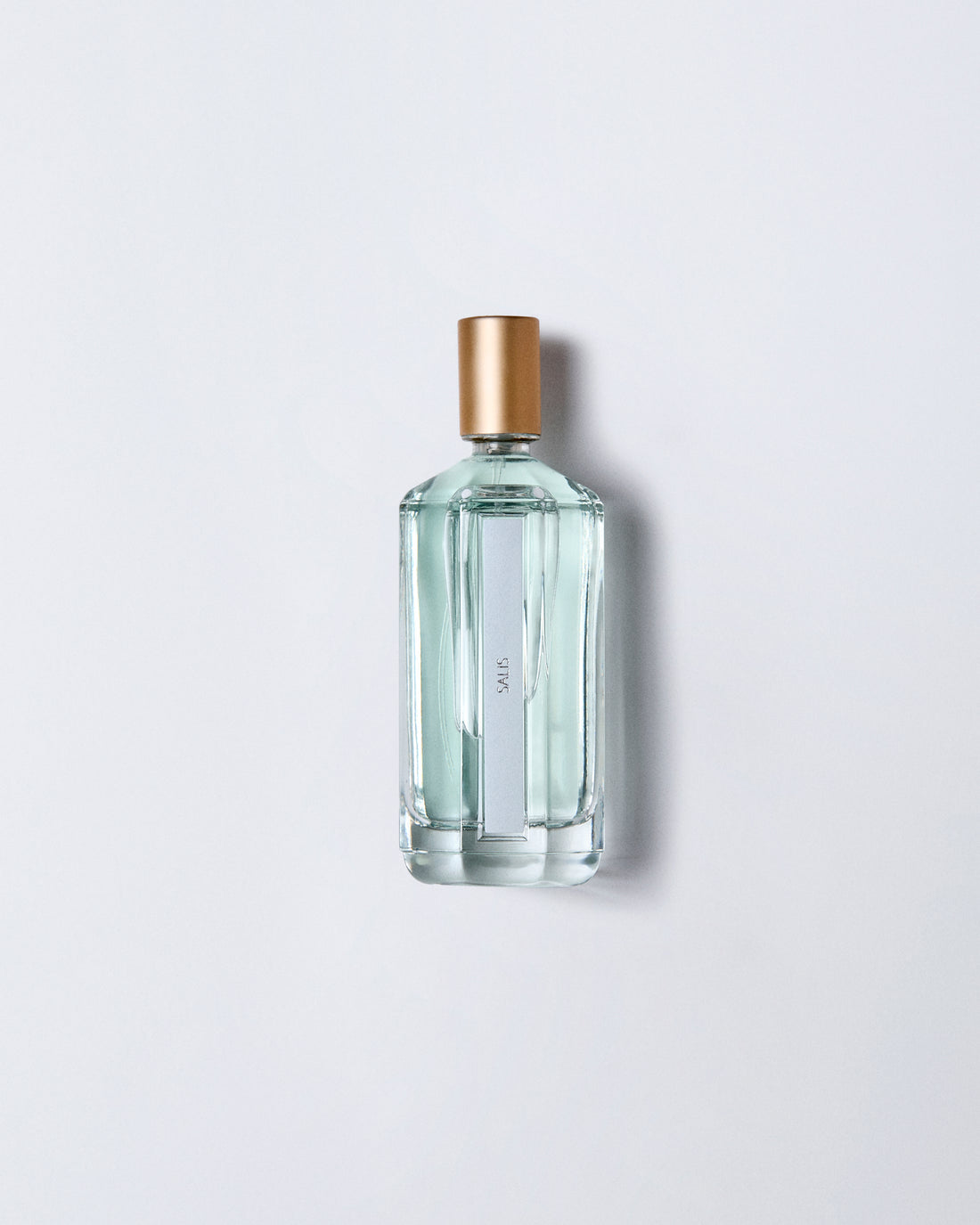 SALIS ROOM SPRAY 100 ml